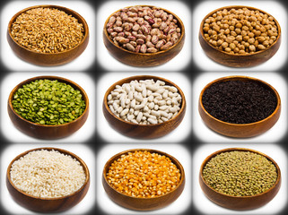 collage of different type of legumes