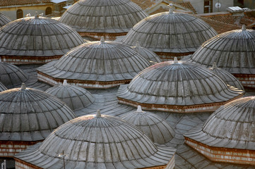 View of the historical domes over the rooftops