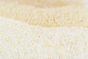 Loofah - natural fiber for body scrubbing