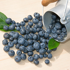 Kulturheidelbeeren