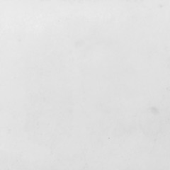 White Background of Paper Show patterns. Stain fungus When prese