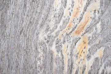Gray wood floor texture