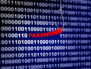 Computer Password Security