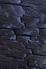 burnt wood texture