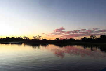 Sunrise in the jungle, Amazonia