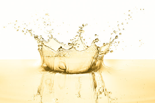 Fototapeta white wine splash isolated on white background
