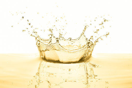 Fototapeta white wine splash isolated on white background