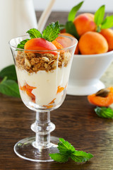 Yogurt with granola and apricots, selective focus