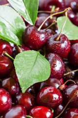 Many black fresh cherries with leaves on the old wooden table, s