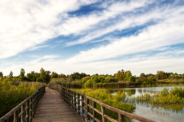 Obraz premium bridge