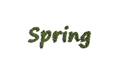 spring text tree with white background