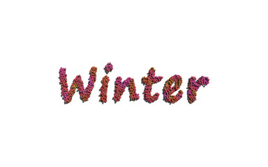 winter text flower with white background