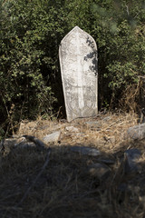 Bu Hayata Ölümde Dahil