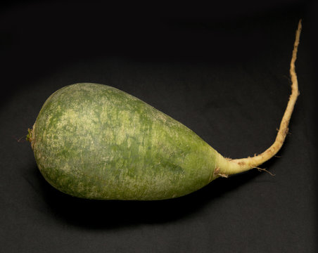 green radish on a black background