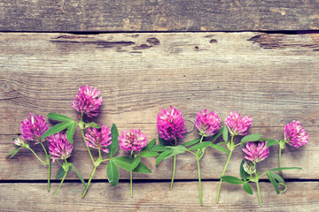 Clover flowers on wooden background