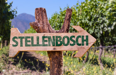 Stellenbosch wooden sign with vineyard background