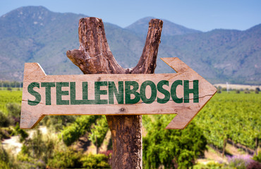 Stellenbosch wooden sign with vineyard background