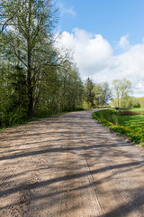 empty road in the forest