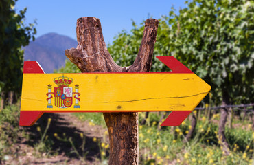 Spain Flag wooden sign with vineyard background
