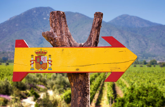Spain Flag wooden sign with vineyard background
