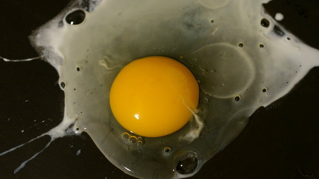 White albumen and yellow vitellus in cooked dish fried egg