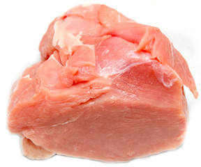 fresh turkey meat on a white background