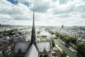 Fototapeta na wymiar Paris from Notre Dame, France
