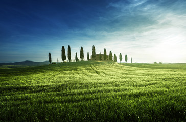 Classic Tuscan views in spring sunset time,  Pienza, Italy