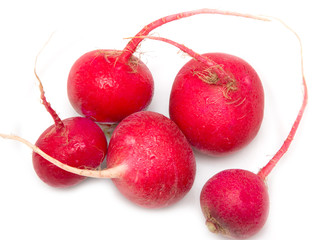 radishes on a white background