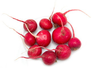 radishes on a white background