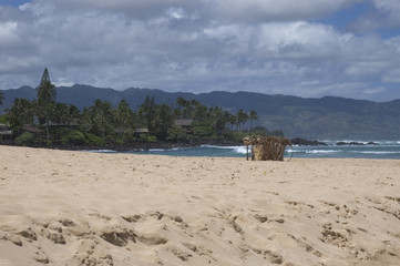 Fototapeta premium Oahu beach