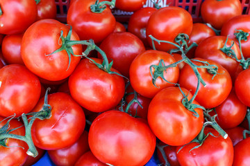 raw tomatoes group from marketplace