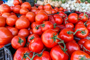 raw tomatoes group from marketplace