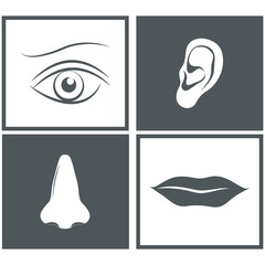 Nose, eye, mouth and ear pictograms 