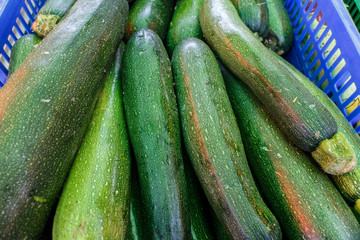 Zucchini group from marketplace