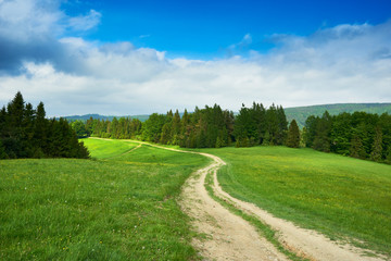 Rural road and green field in Beskidy Mountains in summer, Polan
