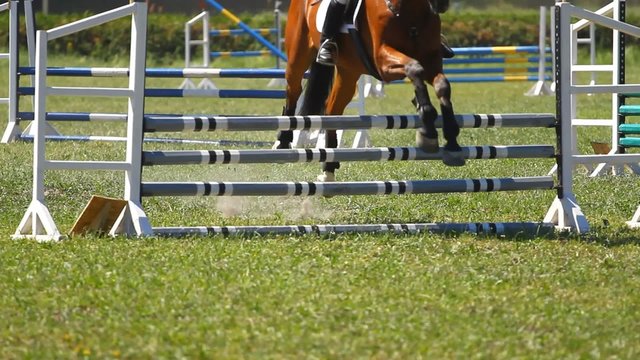 Horse jumping a hurdle in competition