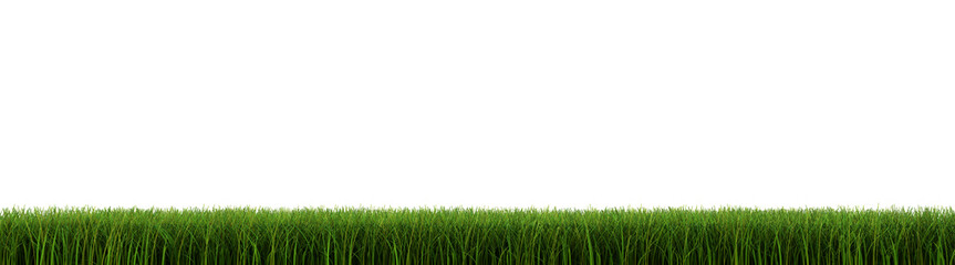 Grass closeup (clipping path included)