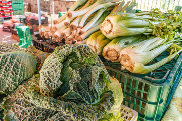raw Cabbage group from marketplace