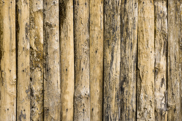 detail of wood texture decorative