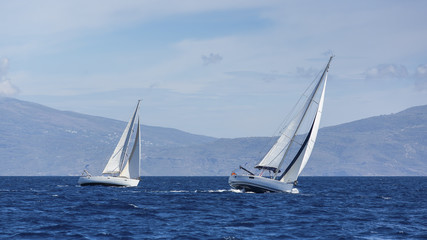 Fototapeta premium Boats in sailing regatta. Yacht sails with cloudless sky. Luxury yachts.