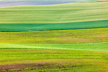 Obraz premium Abstract pattern of rolling fields