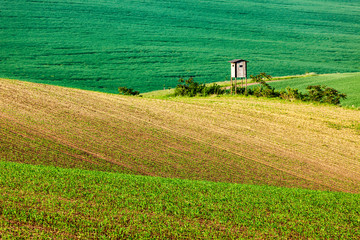 Moravian rolling landscape with hunting tower shack
