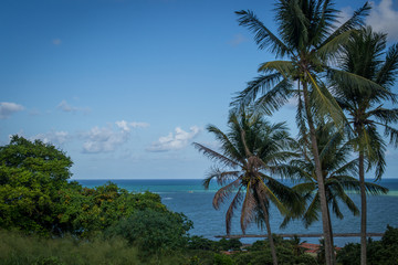 Vis&otilde;es de Olinda e Recife
