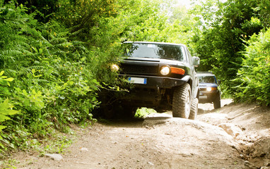 Obraz na płótnie Canvas off-road vehicle on dirty road in a forest
