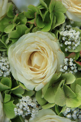 Hydrangea and roses bridal bouquet