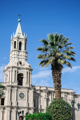 Fototapeta na wymiar Church and a palm tree