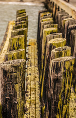 Old Dock 