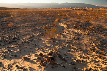 Death Valley