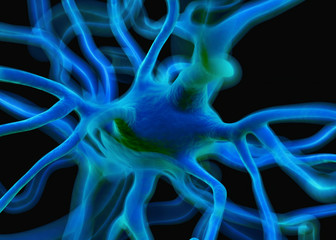 Nerve cells or Neurons